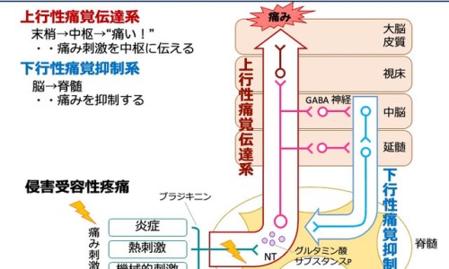 养生堂成长快乐和迪巧哪个好-养生堂的成长快乐牌好不好专区_养生堂的成长快乐牌好不好专区_成长快乐养生堂说明书网
